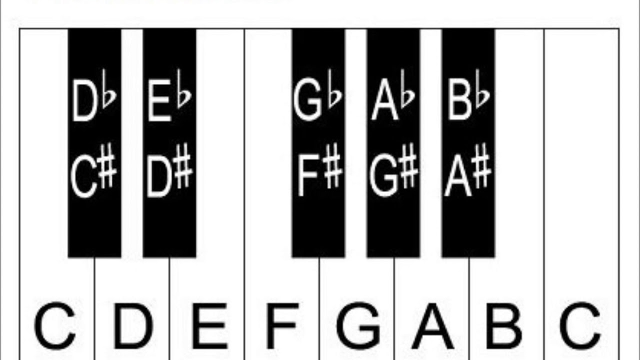 Notes of a Piano Sharps and Flats on a Piano